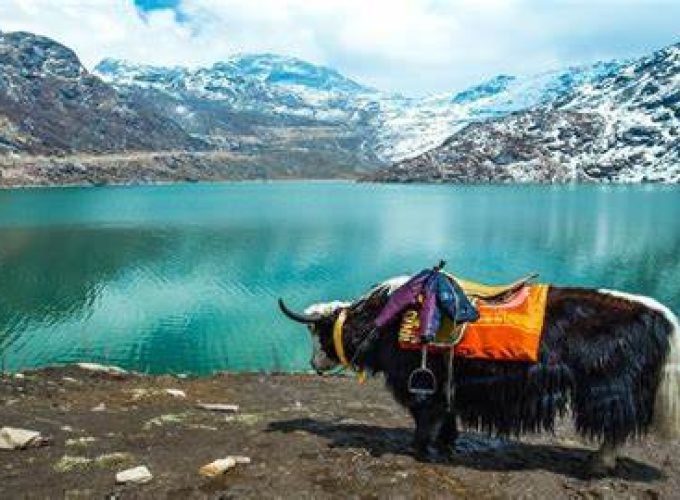 Discover your world with us